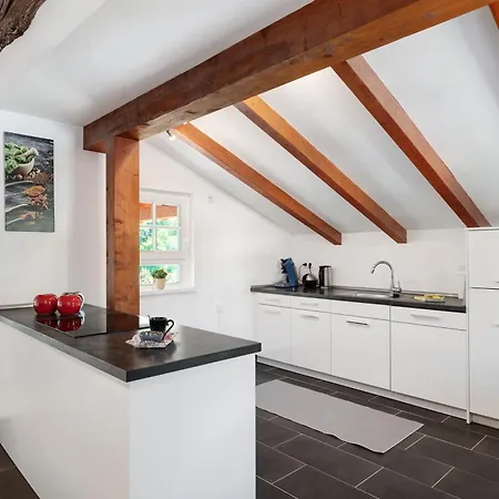 Vogtshaus De Luxe Dom wakacyjny Gernsbach
