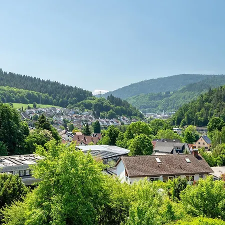 Vogtshaus De Luxe Hébergement de vacances Gernsbach