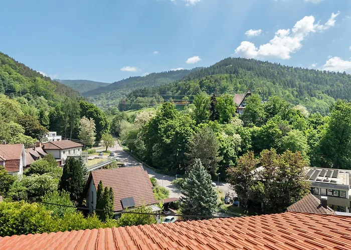 Hébergement de vacances Vogtshaus De Luxe *