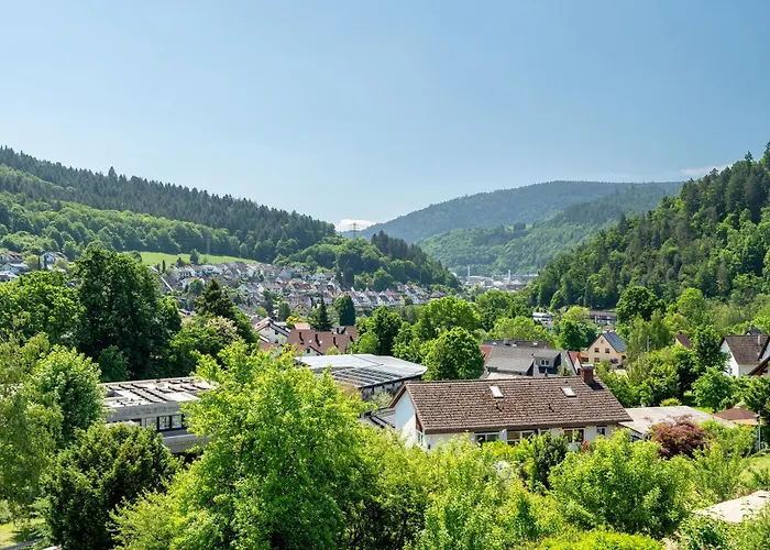 Vogtshaus De Luxe Hébergement de vacances Gernsbach